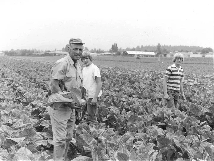 The Rossi family out in a field of crops, a black and white photo